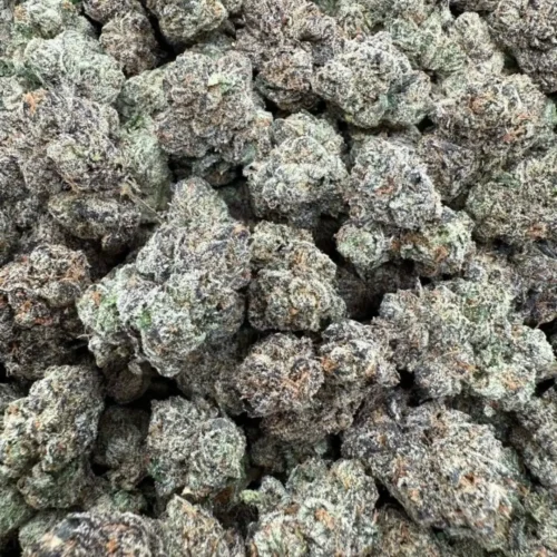 Pink cherry blossom (exotics)