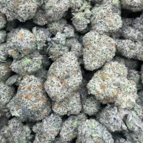 Berry latto pop