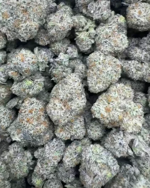 Berry latto pop