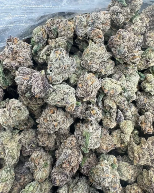 Pablos revenge (exotics)