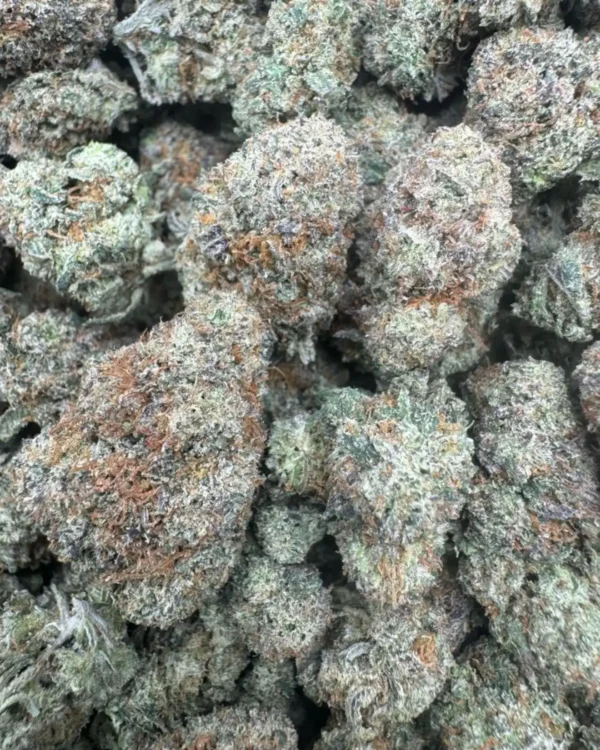 Pink guava runtz