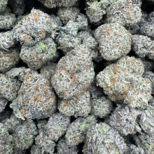 Berry latto pop