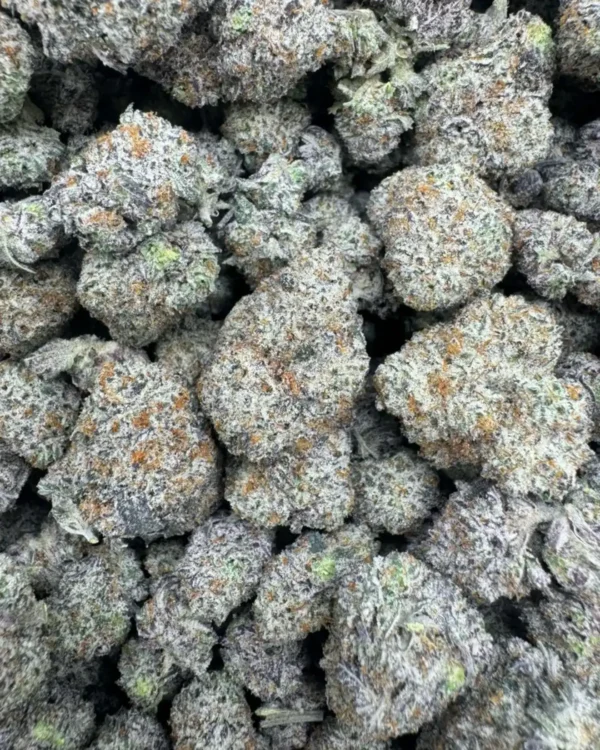 Berry latto pop