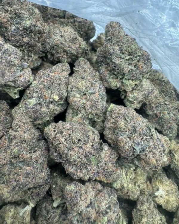 Jollly rancher candy