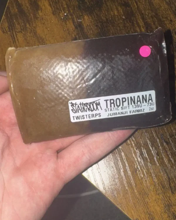TWISTERPS TROPINANA