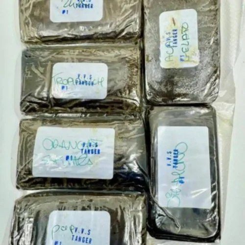 VVS Tanger Hash