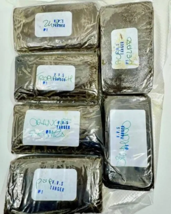 VVS Tanger Hash
