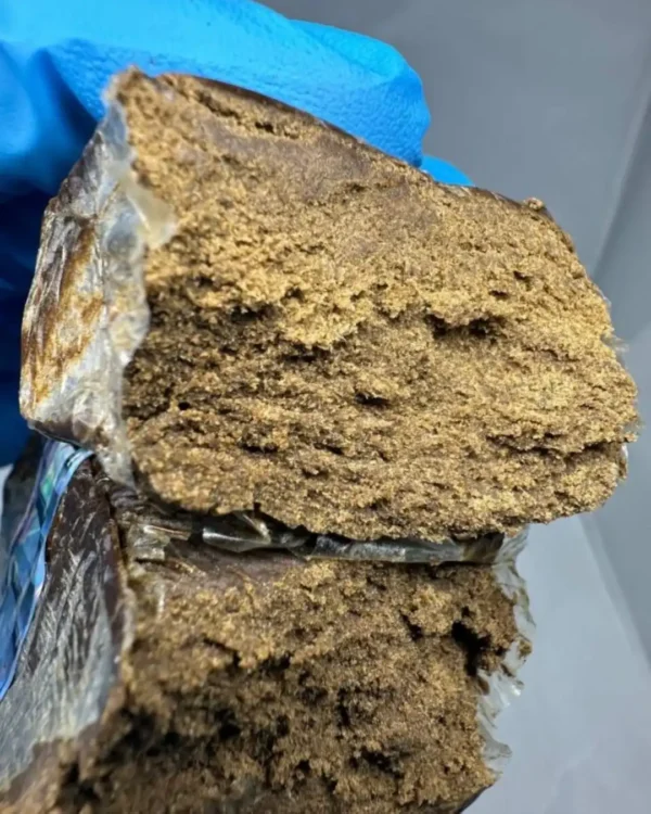 bulldog amsterdam hash